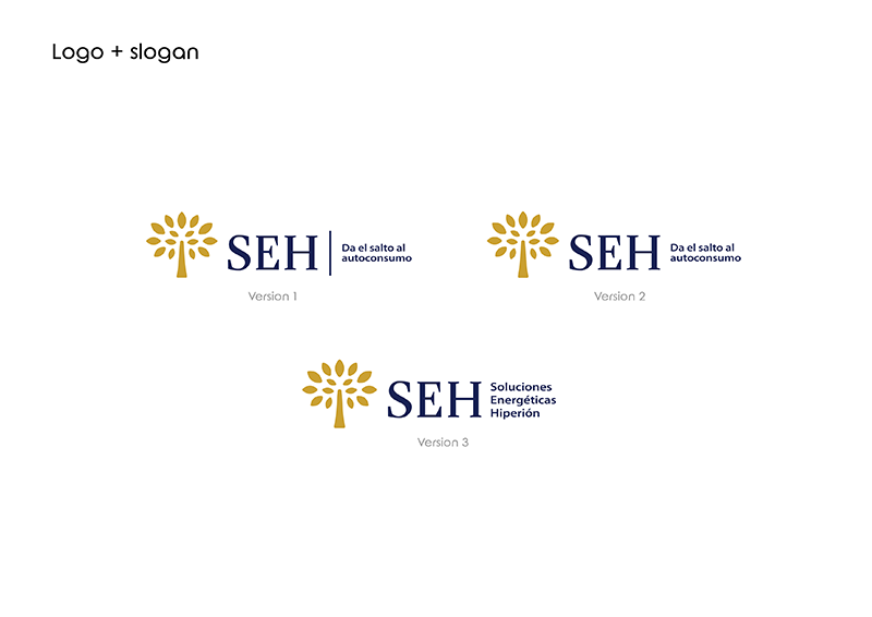 SEH-brand-guidelines-04