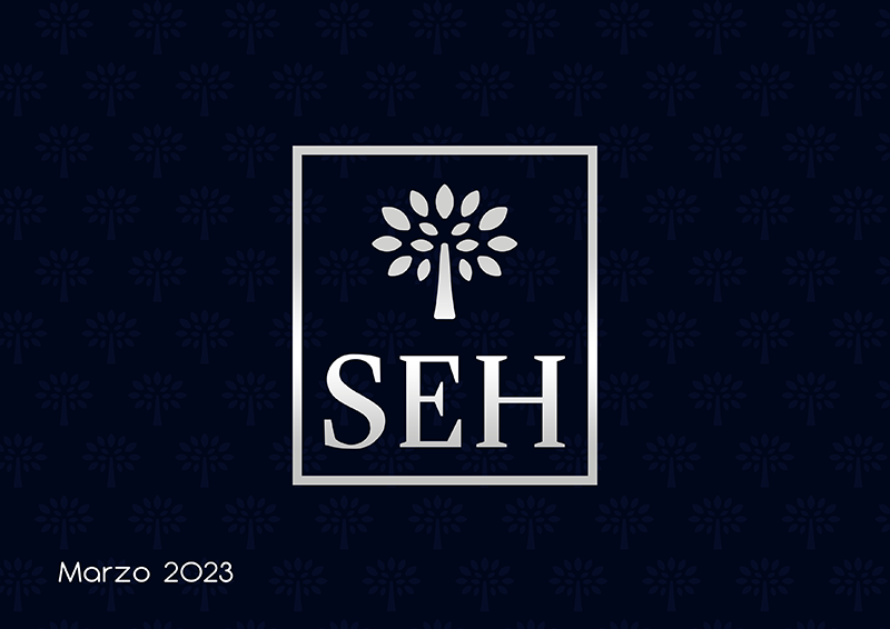 SEH-brand-guidelines-20