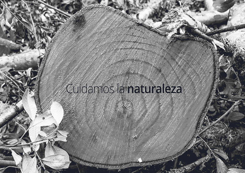 el-bosque-maderas-manual-logo-02