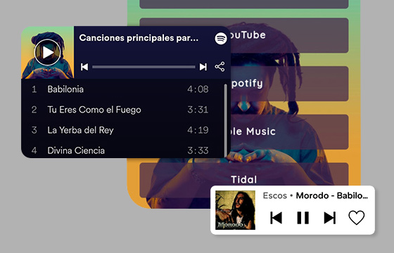 get pro music players linkbe PLUS 12 meses